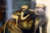 manchester museum 9-2023 8919